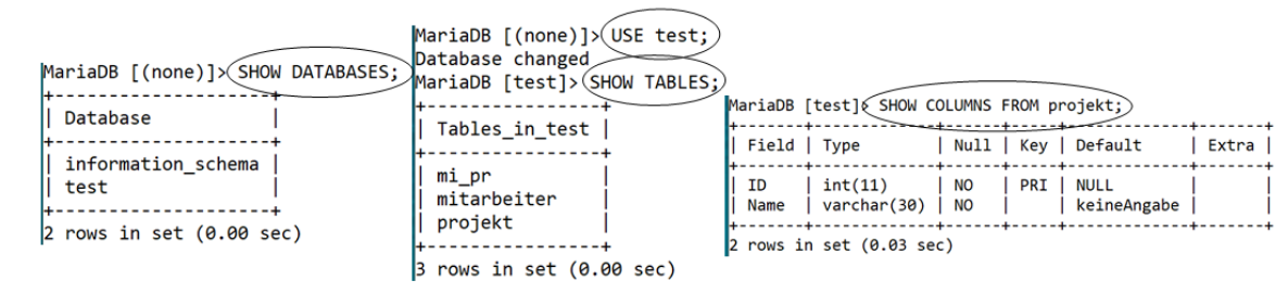 Database Tables